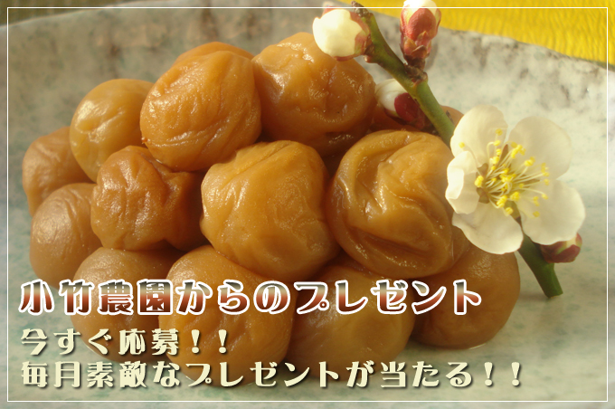 小竹農園からのプレゼント