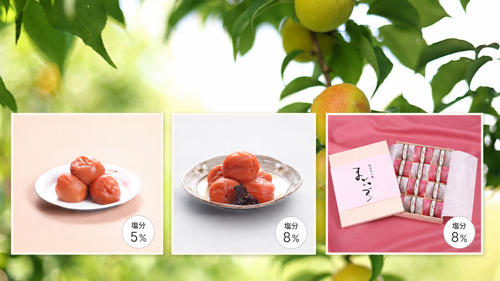小竹農園オンラインショップが新しくなりました