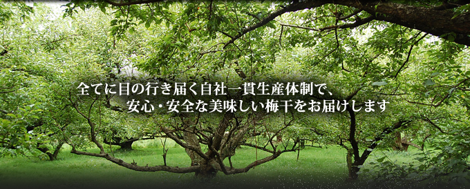 全てに目の行き届く自社一貫生産体制で、安心・安全な美味しい梅干をお届けします