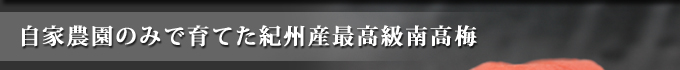 梅の最高級ブランド「南高梅」のA級のみ使用