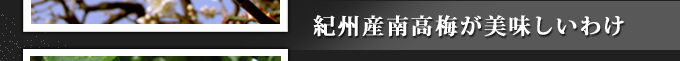 紀州産南高梅が美味しいわけ