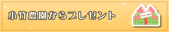 小竹農園からプレゼント