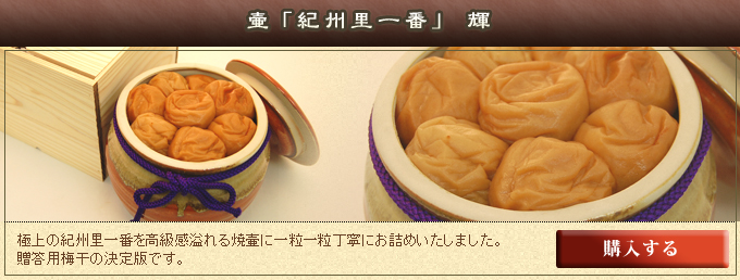 壷「紀州里一番」 輝