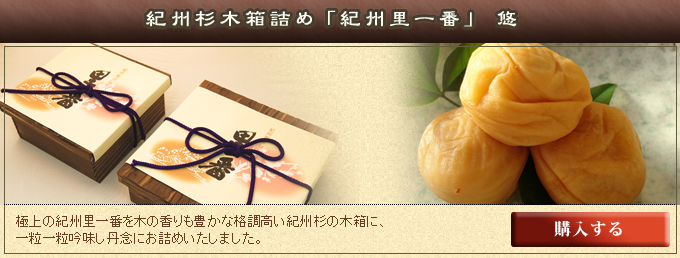 紀州杉木箱詰め「紀州里一番」 悠