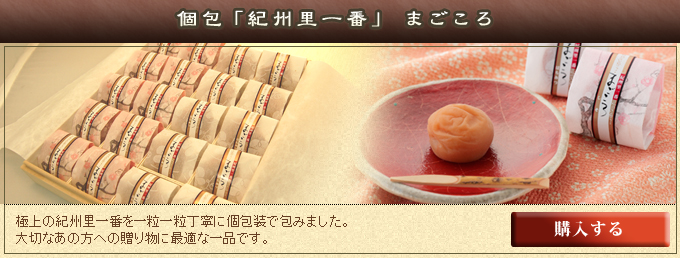 個包「紀州里一番」 まごころ