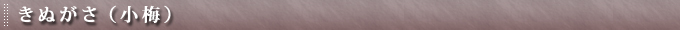 ????????小??